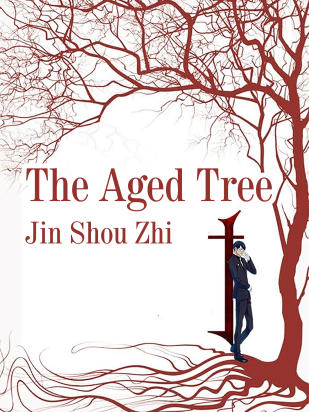 The Aged Tree